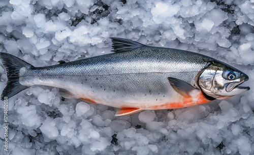 Fresh Salmon Displayed on Ice at a Seafood Market in the Morning