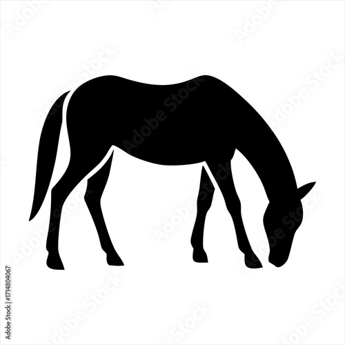 Black silhouette of a grazing horse isolated on transparent background