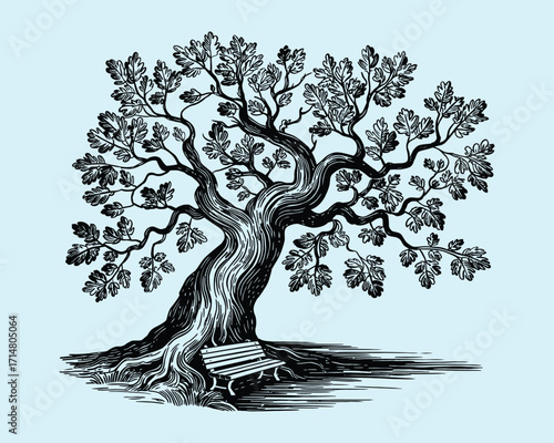 Detailed oak tree sketch engraving in black and white outline, scratch board style illustration, perfect for vintage design, vector art, educational materials, decorative prints, and creative projects