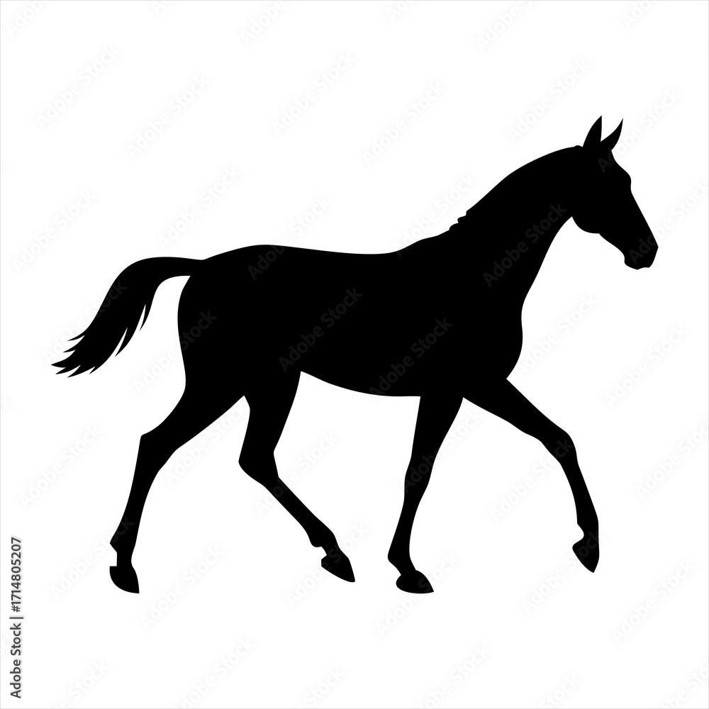 Obraz premium Black silhouette of a horse walking isolated on transparent background