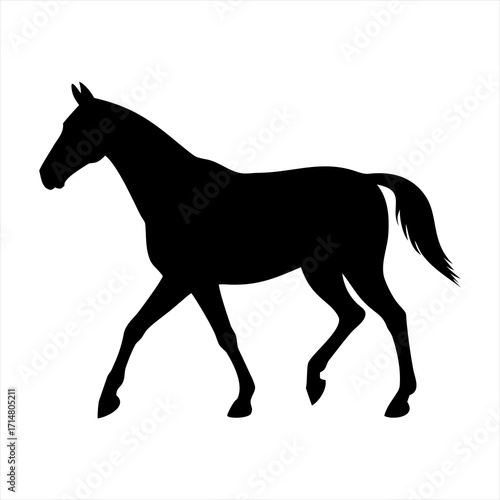 Black silhouette of a horse walking isolated on transparent background