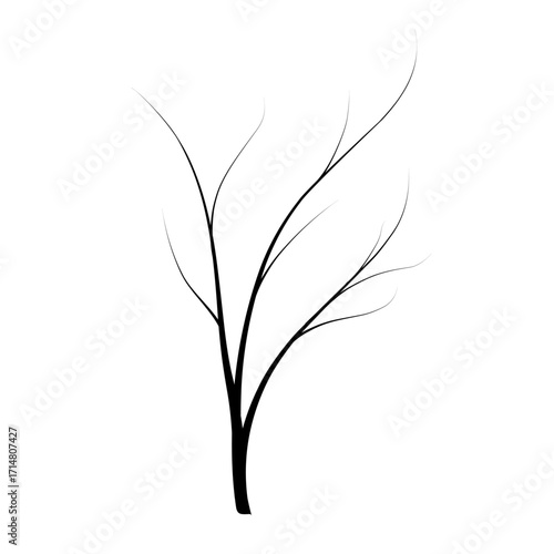 silhouette illustration of twigs. dry twig vector