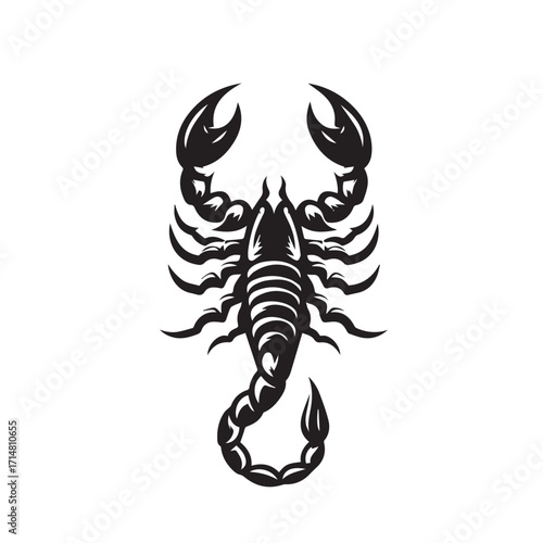 black and white scorpion vector logo