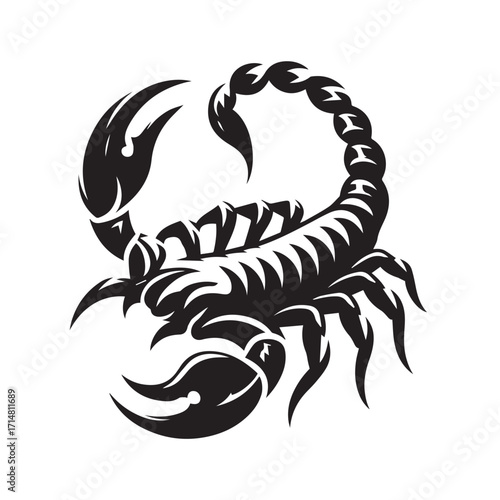 black and white scorpion vector logo