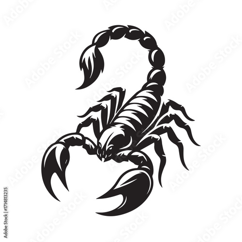 black and white scorpion vector logo