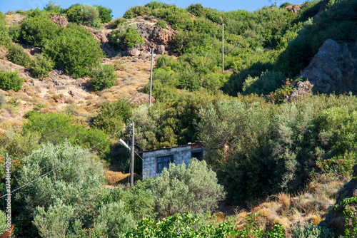 Old stone cabin nestled among olive trees and Mediterranean vegetation in Assos Turkey, rustic rural building with blue door surrounded by lush green hillside landscape