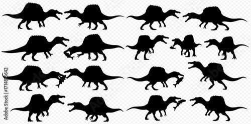 Black silhouettes of Spinosaurus dinosaurs in various poses against a transparent background.