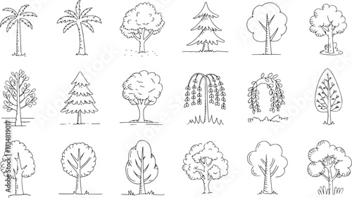 Hand drawn tree set of 20 unique sketch illustrations including palm pine willow bamboo and deciduous forest elements.