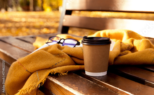 Takeaway cup of hot tasty coffee, warm blanket, eyeglasses and book on the bench in autumn park. Autumn cozy mood. Selective focus.