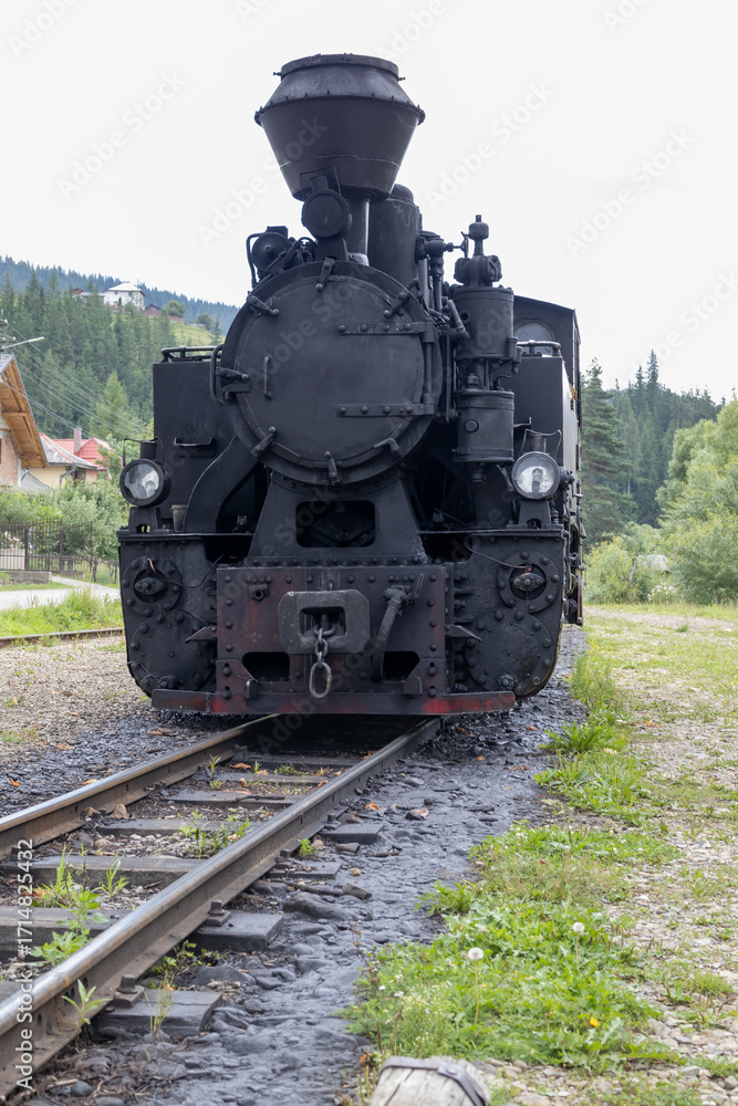 Obraz premium A 20th-century steam locomotive sits on a narrow gauge track. This powerful and classic engine, an icon of the industrial age, is now a symbol of history and nostalgia
