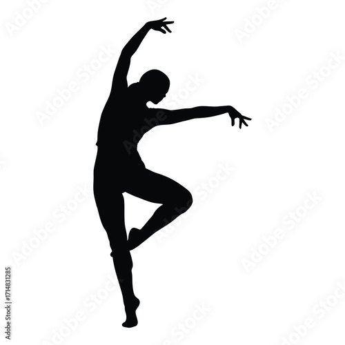Elegant dancer in a dynamic pose captured as a striking silhouette