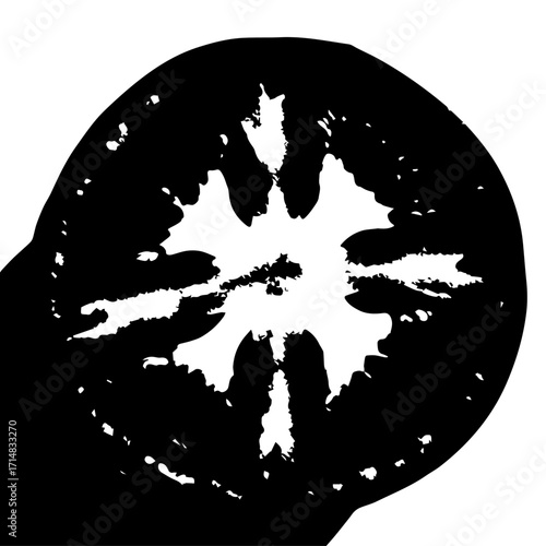 White snowflake-like symbol centered on a solid black circle creating a bold, abstract geometric design.
