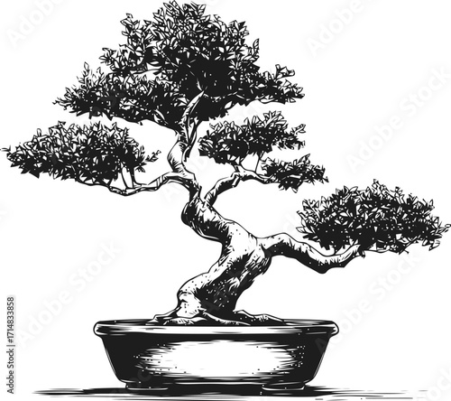 Bonsai tree sketch hand drawn style with intricate branches and textured pot — stock vector