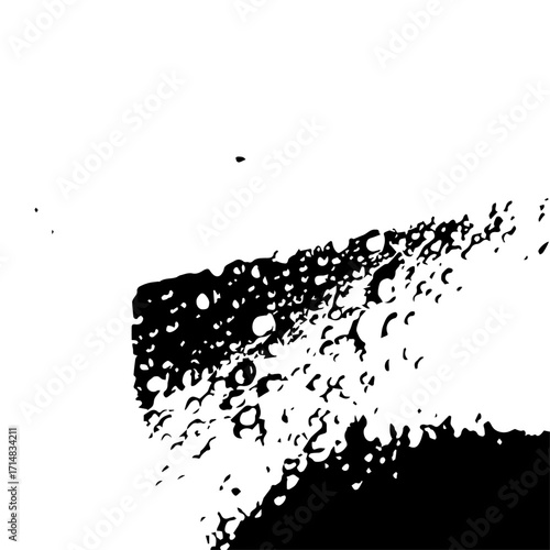High contrast abstract black and white texture with speckled pattern.