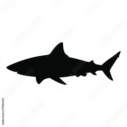 A striking black shark shape is presented as a clear silhouette