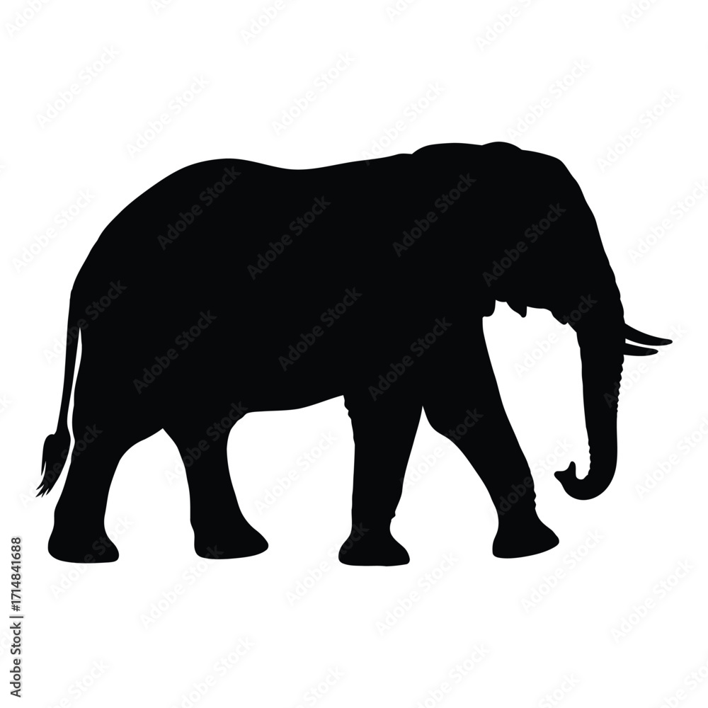Fototapeta premium A striking black shape of an african elephant a bold silhouette