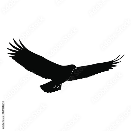 A majestic bird soars dynamically through the sky a striking silhouette