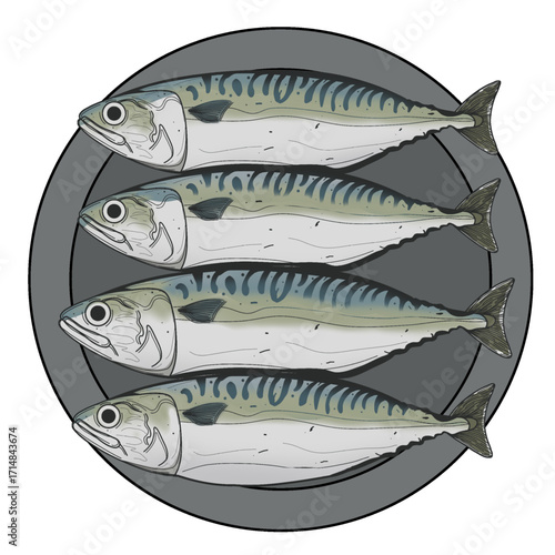 Plate of mackerels Vector Illustration 