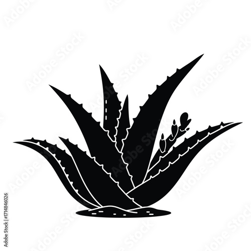 Silhouette of aloe vera plant with serrated leaves growing from soil on a white background. EPS 10.