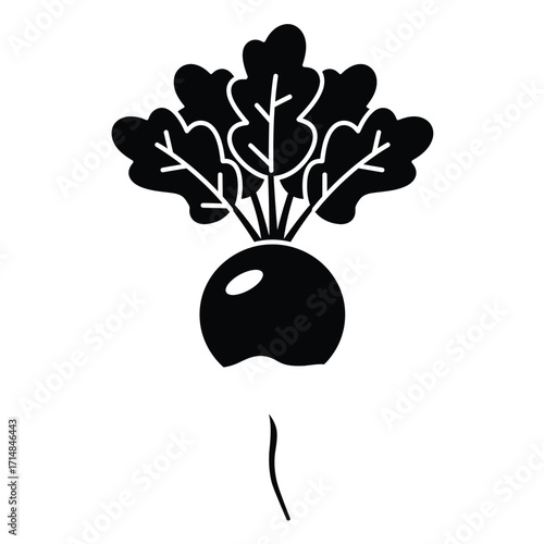 Stylized silhouette of radish with leafy greens and root detail on a white background. EPS 10.