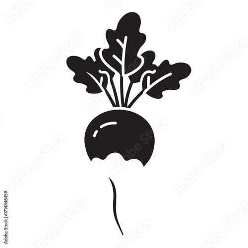 Stylized silhouette of radish with leafy greens and root detail on a white background. EPS 10.