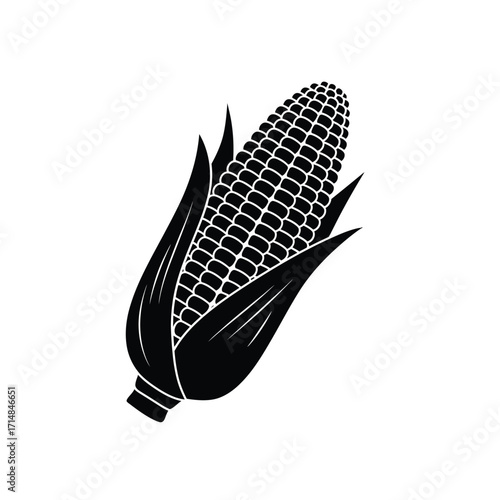 Silhouette of corn ear with partially peeled husk and visible kernels on a white background. EPS 10.