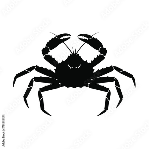 Silhouette of crab with raised claws and detailed legs on a white background. EPS 10.
