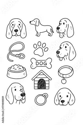 Bloodhound dog vector illustrations set and pet accessories in a playful style  