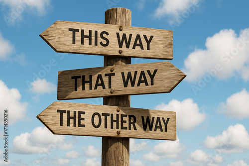 Choose your path with this wooden road sign under blue skies
