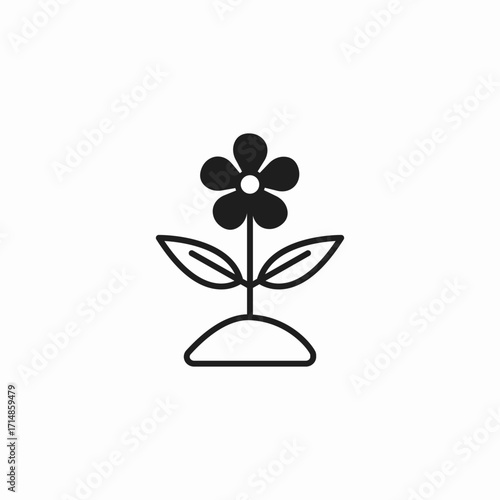flower in pot icon sign vector