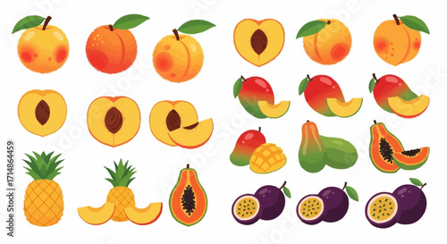 Fruits delicious tropical fruits vector illustration featuring pineapple mango peach papaya and passion fruit design element vector