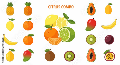 Fruits download fresh and healthy fruit vector art illustration featuring citrus fruits and tropical fruits combo set vector