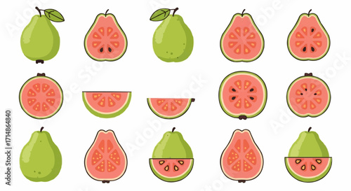 Fruits discover fresh guava fruit illustrations and vector art for your designs tropical guava fruit images design vector