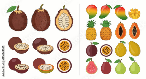 Fruits exotic fruits illustration featuring soursop mango pineapple papaya passion fruit and guava vector design vector
