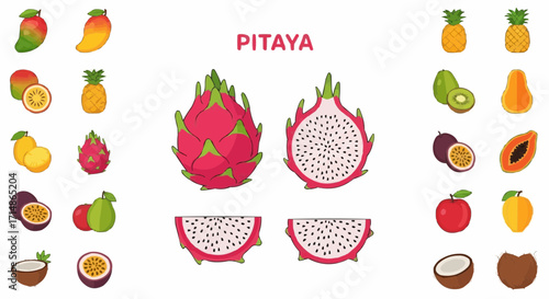 Fruits explore tropical fruits pitaya mango pineapple passion fruit papaya kiwi coconut guava apple for healthy diet 100 vector