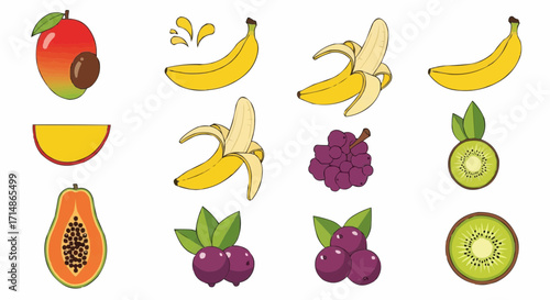 Fruits illustration of tropical fruits mangoes bananas kiwi papaya and grapes for healthy eating and nutrition 100 vector