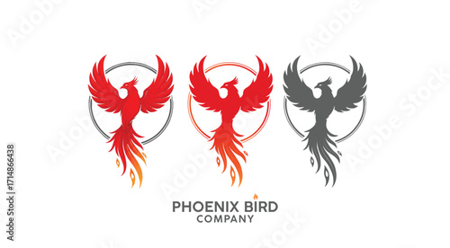 Elegant Phoenix Logo Template for Company Branding Portraying Rebirth