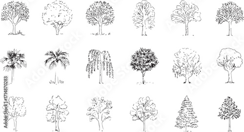 Hand drawn tree set of 20 unique sketch illustrations including palm pine willow bamboo and deciduous forest elements.