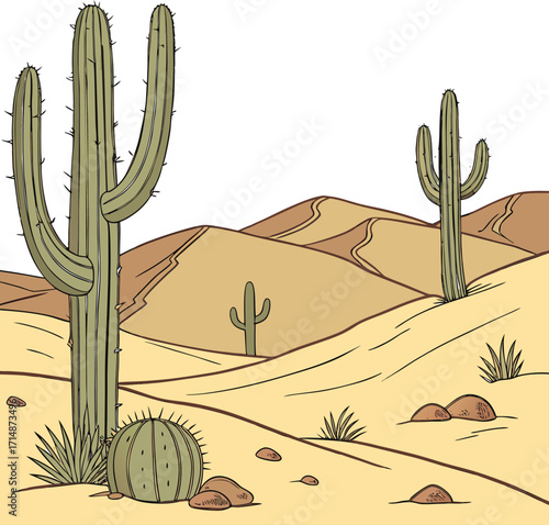A saguaro cactus stands tall in the hot Arizona desert landscape under a summer sun