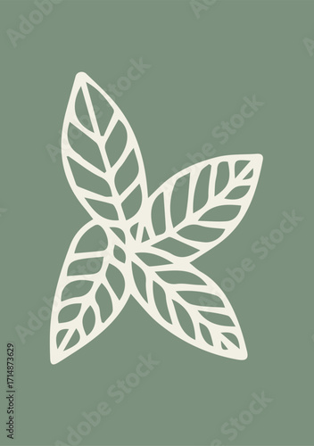 Illustration Hand Draw Doodle Mint Leaves with Green Background