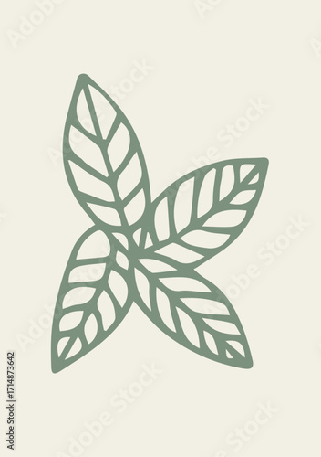 Illustration Hand Draw Doodle Mint Leaf Natural Tea