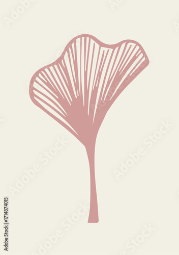 Illustration Hand Draw Doodle Ginkgo Leaf Natural 