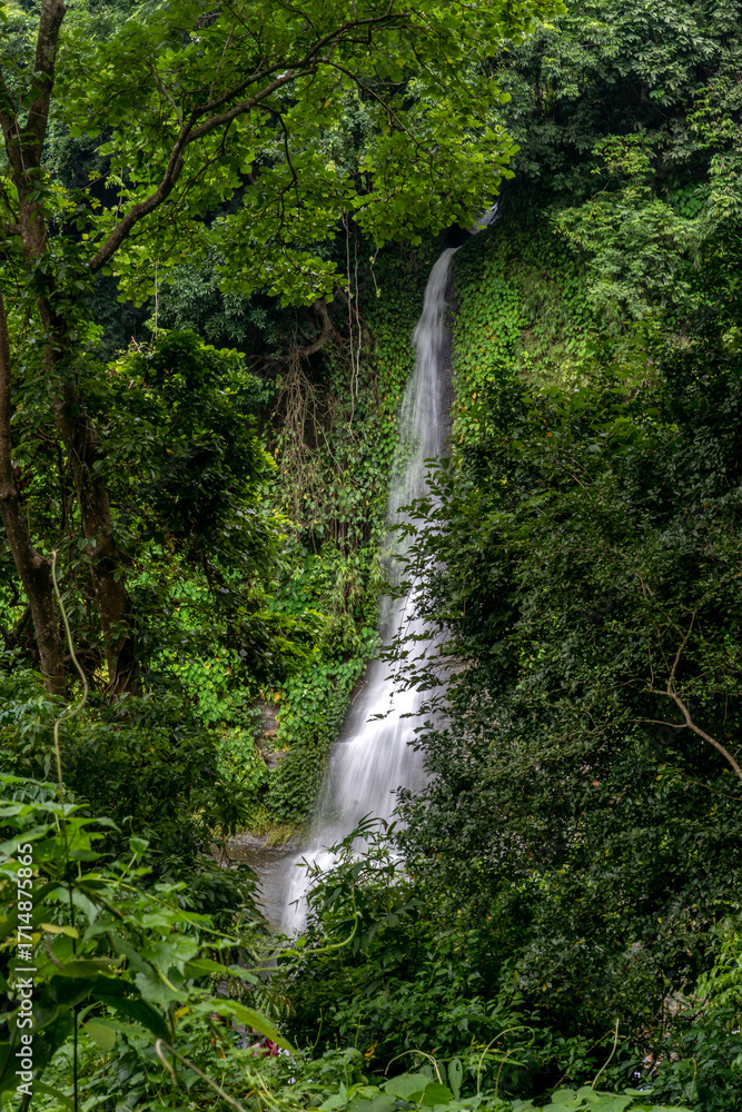 Obraz premium Shahasradhara Waterfall Located in Sitakunda of Chittagong District of Bangladesh. Serene Waterfall Cascading Through Lush Green Forest. Sohosrodhara waterfalls inside the Sitakunda Eco Park