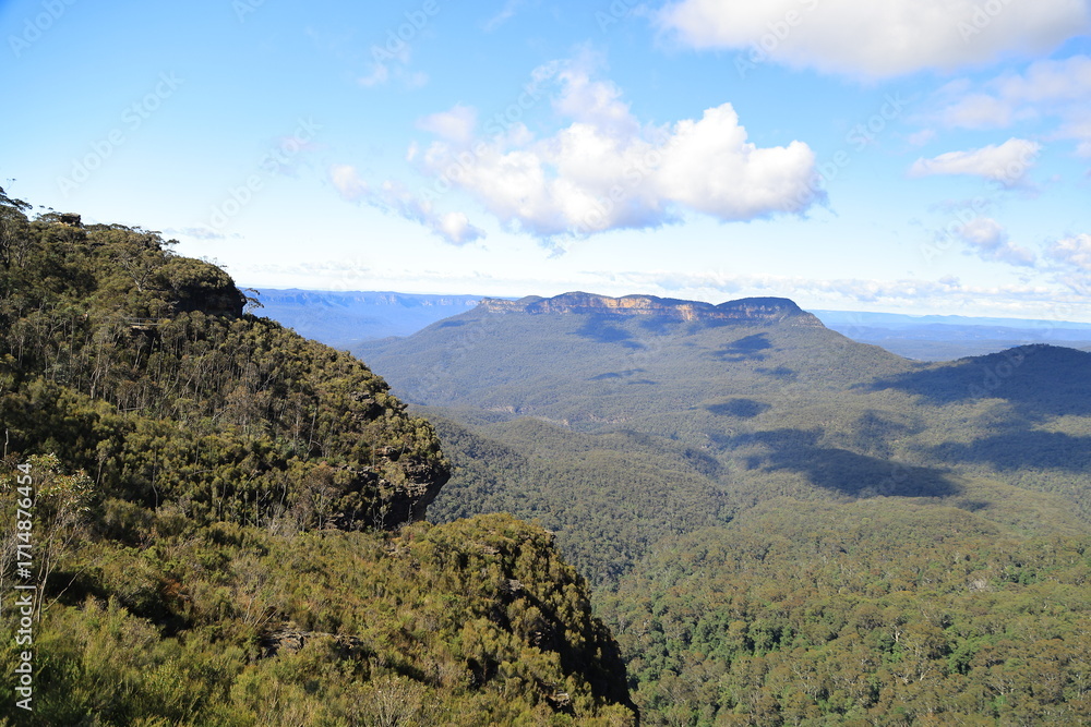 Fototapeta premium blue mountains, australia