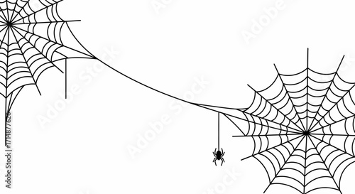 Two Spooky Spiderwebs Connected by a Single Strand with a Dangling Spider.