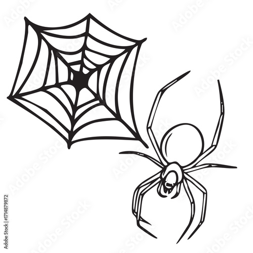 Hand drawn vector doodle of Halloween spiders, web