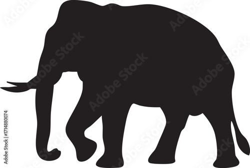 Old Adult Elephant Walking Silhouette | Elephant Vector & Illustration