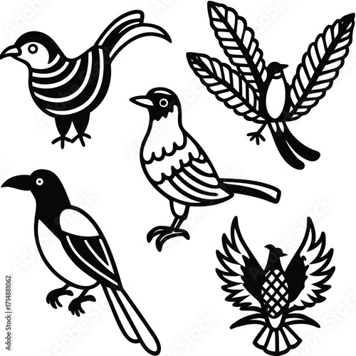 Vibrant tropical bird collection featuring exotic avian wildlife in a colorful graphic design set