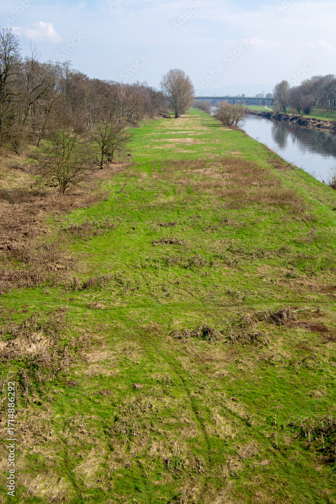 Fototapeta premium Serene river landscape with lush greenery