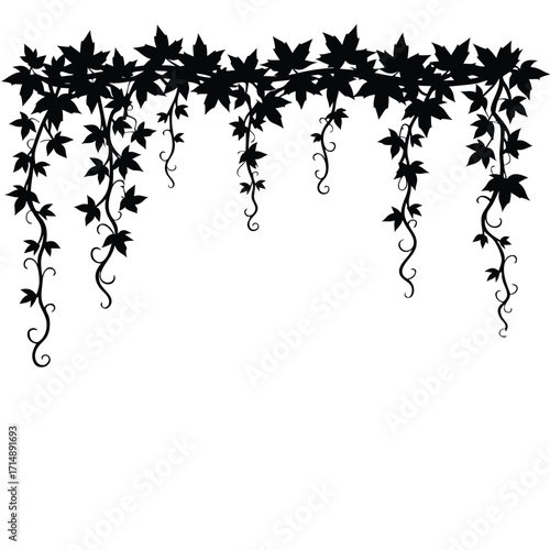 Black ivy vine with leaves and tendrils border vector